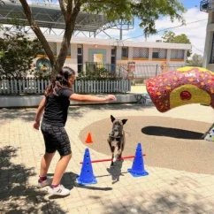 כלבנות חווייתית וחינוכית למסגרות